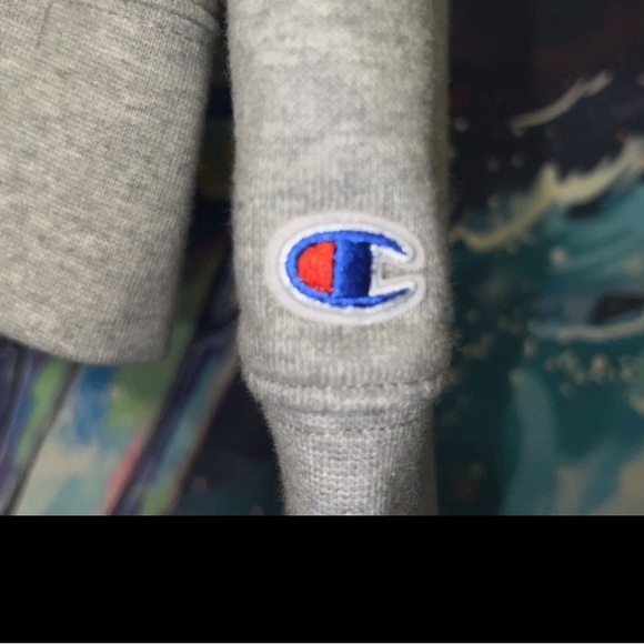 Men’s Medium Champion Hoodie NWOT - Picture 3 of 6